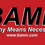 Check Out the New BAMN Newsletter!